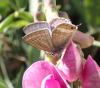 290434 – Photo : Catherine Reymonet-Smitten – France (19)